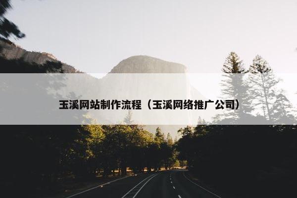 玉溪网站制作流程（玉溪网络推广公司）