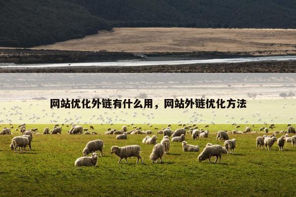网站优化外链有什么用，网站外链优化方法