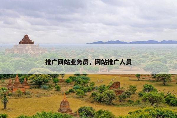 推广网站业务员，网站推广人员