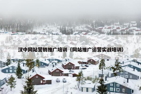 汉中网站营销推广培训（网站推广运营实战培训）