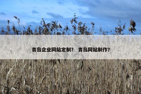 青岛企业网站定制？ 青岛网站制作？