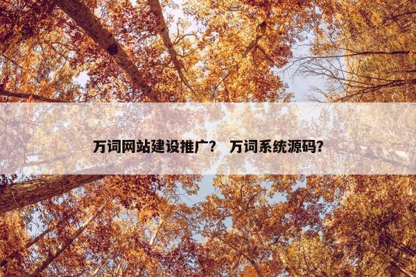 万词网站建设推广？ 万词系统源码？