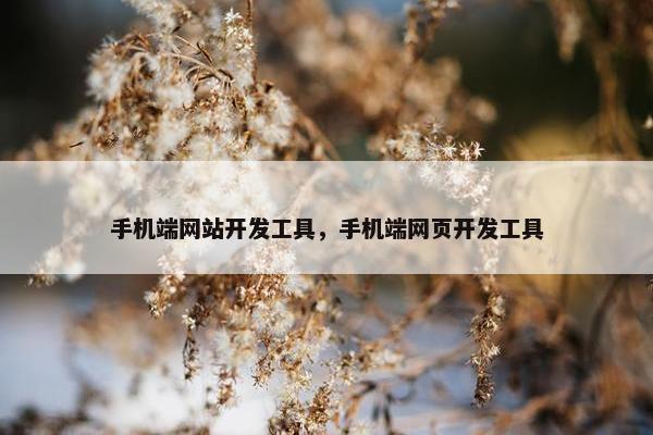 手机端网站开发工具，手机端网页开发工具