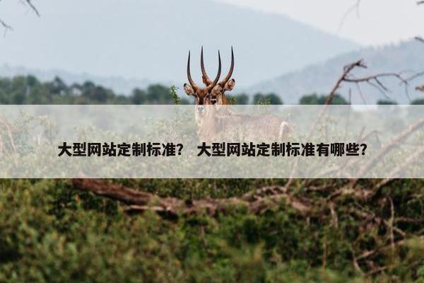 大型网站定制标准？ 大型网站定制标准有哪些？