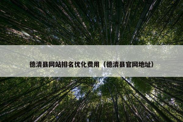 德清县网站排名优化费用（德清县官网地址）
