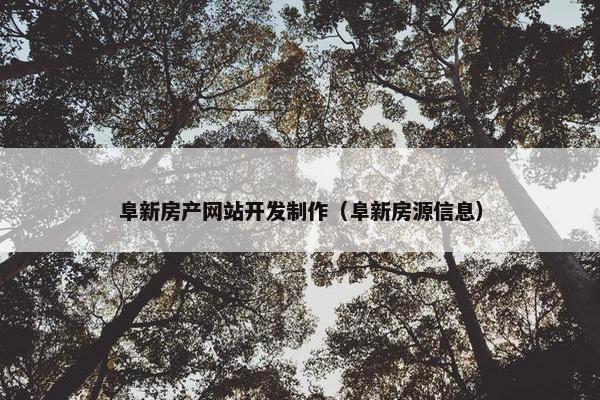 阜新房产网站开发制作（阜新房源信息）
