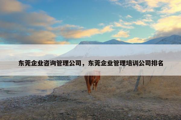 东莞企业咨询管理公司，东莞企业管理培训公司排名