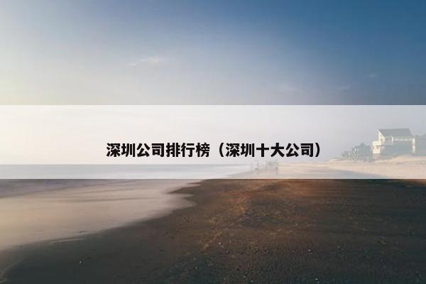 深圳公司排行榜（深圳十大公司）