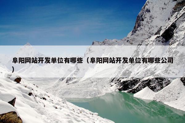 阜阳网站开发单位有哪些（阜阳网站开发单位有哪些公司）
