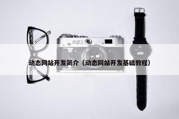 动态网站开发简介（动态网站开发基础教程）