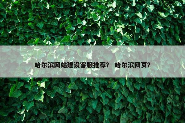 哈尔滨网站建设客服推荐？ 哈尔滨网页？