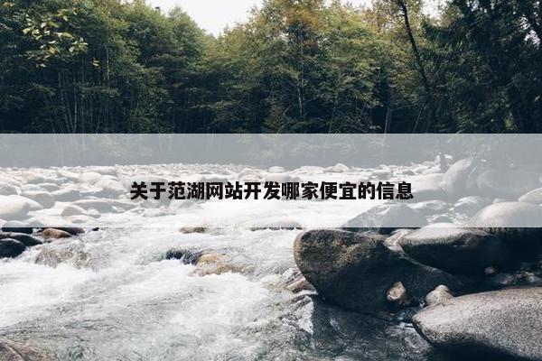 关于范湖网站开发哪家便宜的信息