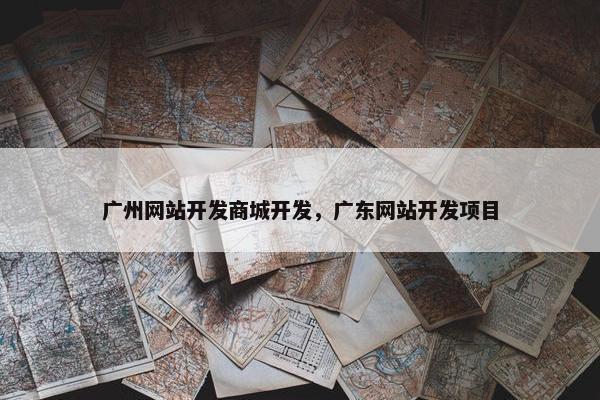 广州网站开发商城开发，广东网站开发项目