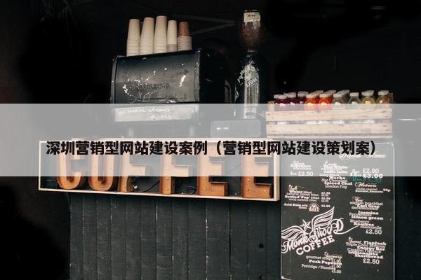 深圳营销型网站建设案例（营销型网站建设策划案）