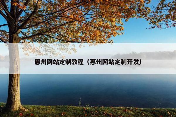 惠州网站定制教程（惠州网站定制开发）
