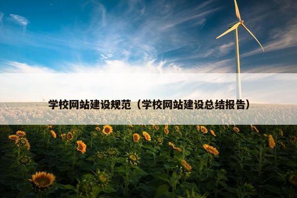 学校网站建设规范（学校网站建设总结报告）