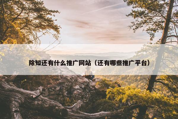 除知还有什么推广网站（还有哪些推广平台）