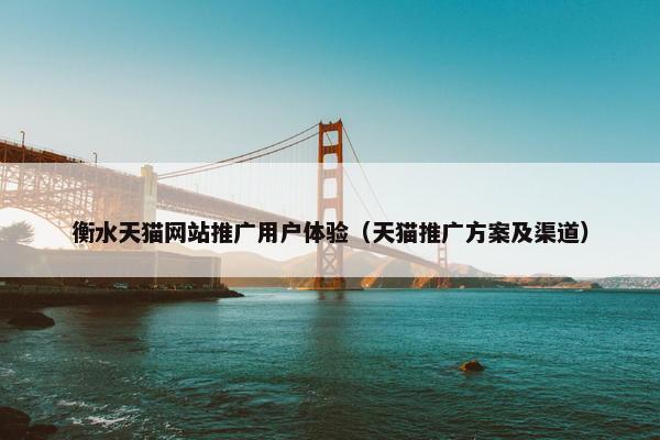衡水天猫网站推广用户体验（天猫推广方案及渠道）