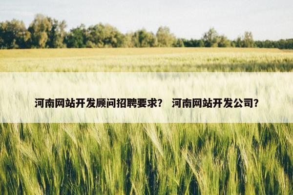 河南网站开发顾问招聘要求？ 河南网站开发公司？