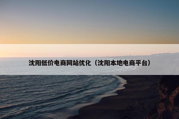 沈阳低价电商网站优化（沈阳本地电商平台）
