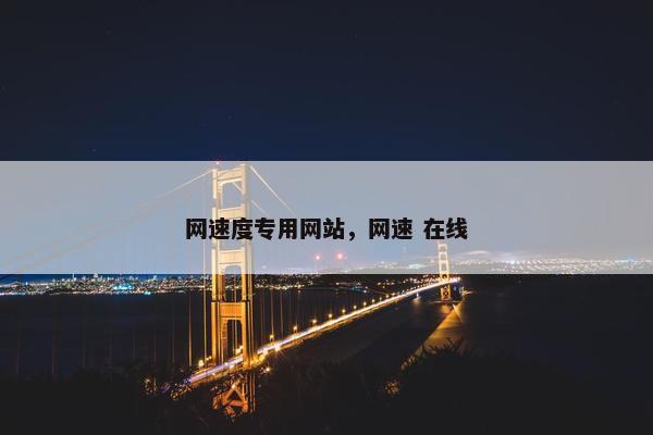 网速度专用网站，网速 在线
