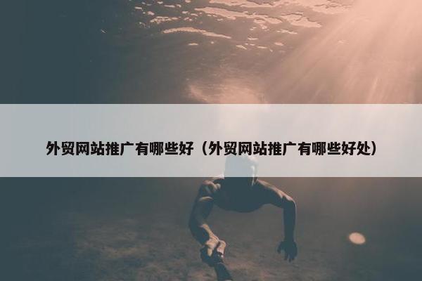 外贸网站推广有哪些好（外贸网站推广有哪些好处）