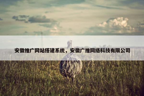 安徽推广网站搭建系统，安徽广推网络科技有限公司