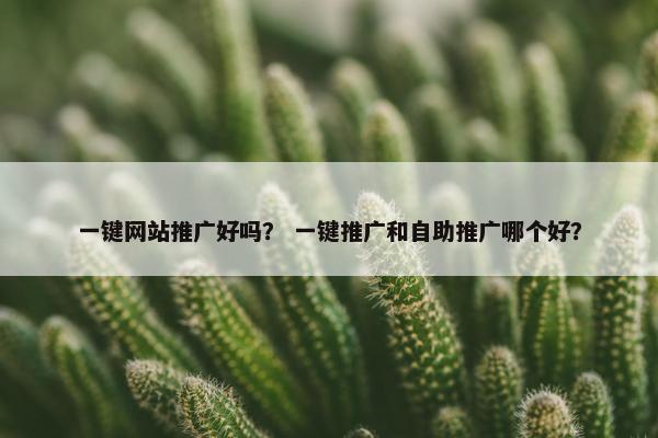 一键网站推广好吗？ 一键推广和自助推广哪个好？