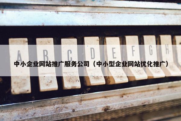中小企业网站推广服务公司（中小型企业网站优化推广）