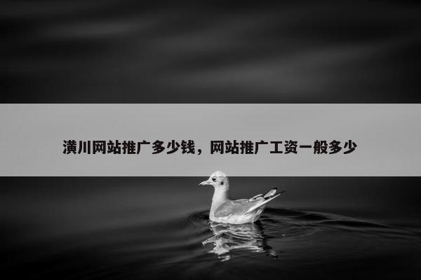 潢川网站推广多少钱，网站推广工资一般多少