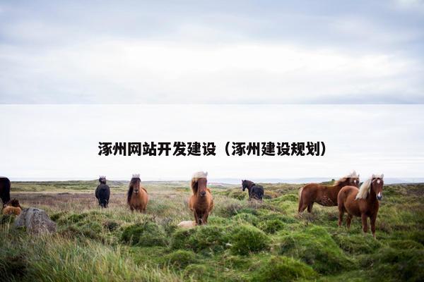 涿州网站开发建设（涿州建设规划）