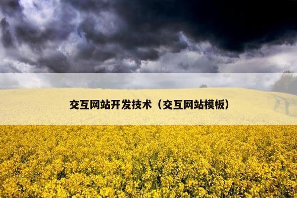 交互网站开发技术（交互网站模板）