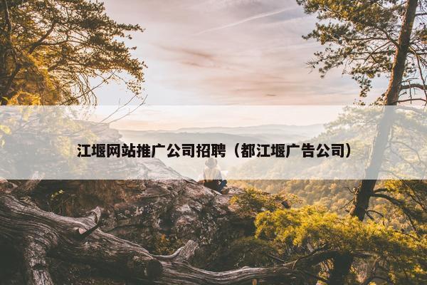 江堰网站推广公司招聘（都江堰广告公司）