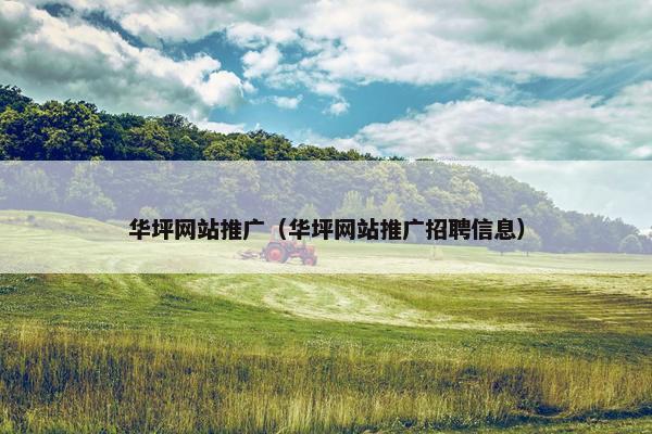 华坪网站推广（华坪网站推广招聘信息）