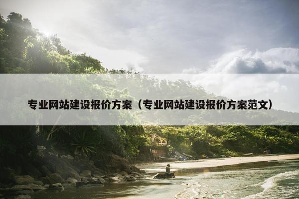 专业网站建设报价方案（专业网站建设报价方案范文）