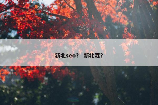 新北seo？ 新北森？