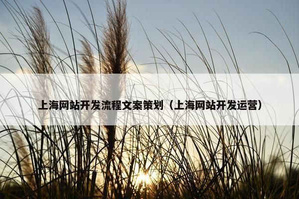 上海网站开发流程文案策划（上海网站开发运营）