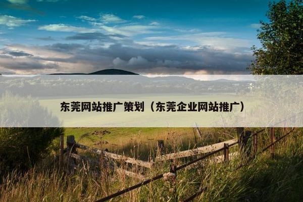 东莞网站推广策划（东莞企业网站推广）