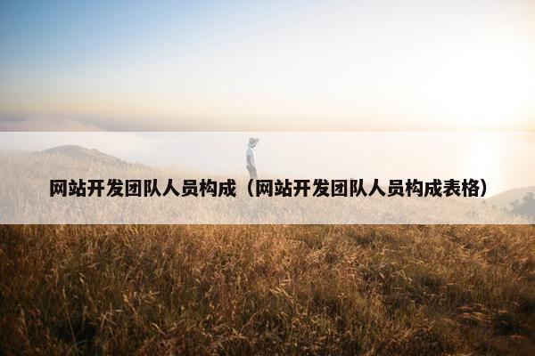 网站开发团队人员构成（网站开发团队人员构成表格）