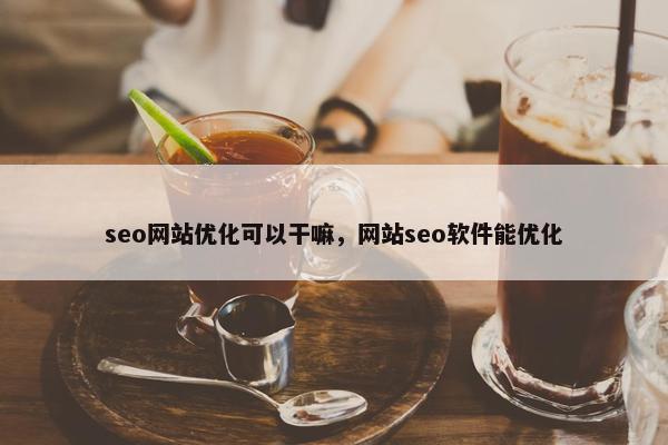 seo网站优化可以干嘛，网站seo软件能优化