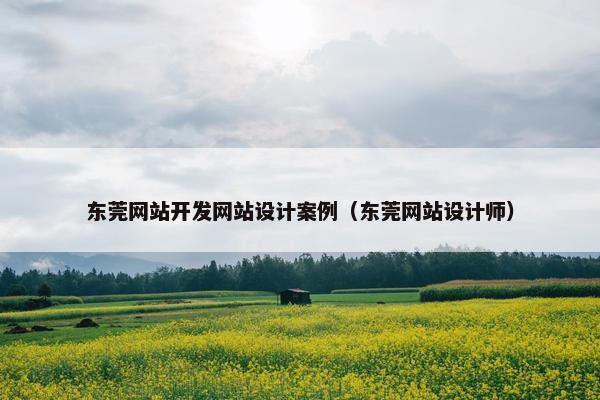 东莞网站开发网站设计案例（东莞网站设计师）