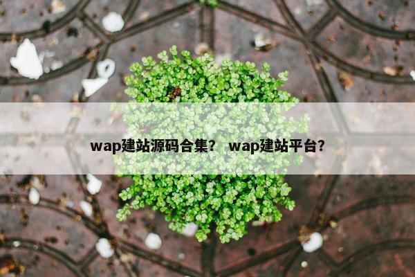 wap建站源码合集？ wap建站平台？