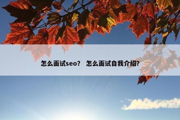 怎么面试seo？ 怎么面试自我介绍？