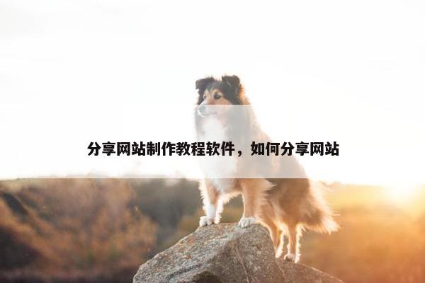 分享网站制作教程软件，如何分享网站