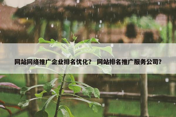 网站网络推广企业排名优化？ 网站排名推广服务公司？
