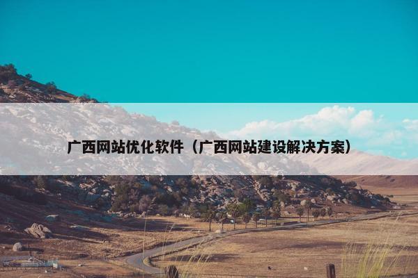 广西网站优化软件（广西网站建设解决方案）
