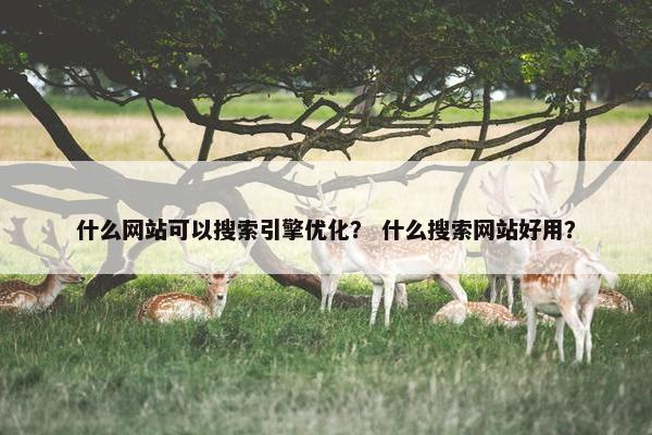 什么网站可以搜索引擎优化？ 什么搜索网站好用？