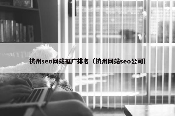 杭州seo网站推广排名（杭州网站seo公司）