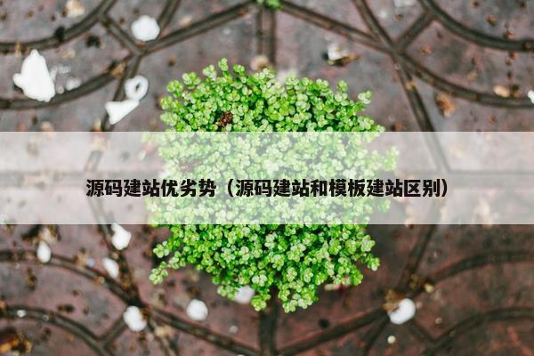 源码建站优劣势（源码建站和模板建站区别）