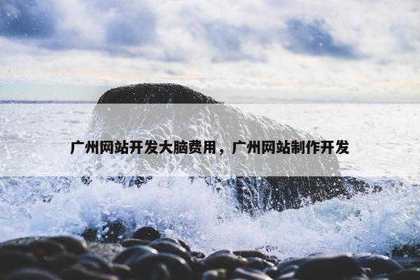 广州网站开发大脑费用，广州网站制作开发